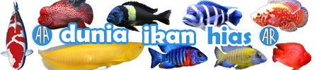 Dunia Ikan Hias